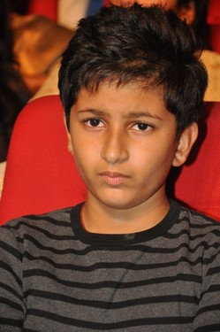 Bhale Manchi Roju Movie Audio Launch